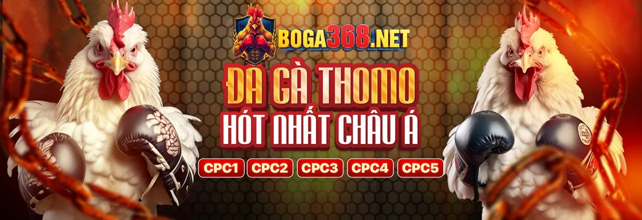 Hướng dẫn cá cược trực tuyến an toàn tại 5699bet nhà cái