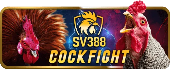 Hỗ Trợ Khách Hàng 24/7 5699bet